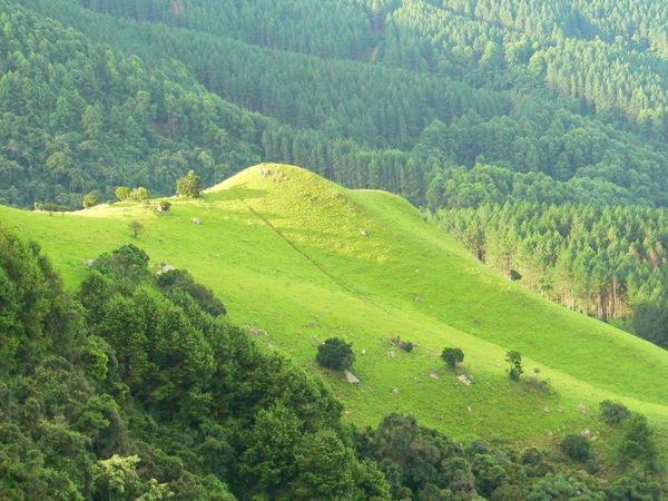 Green Venus Kaapsehoop Dış mekan fotoğraf